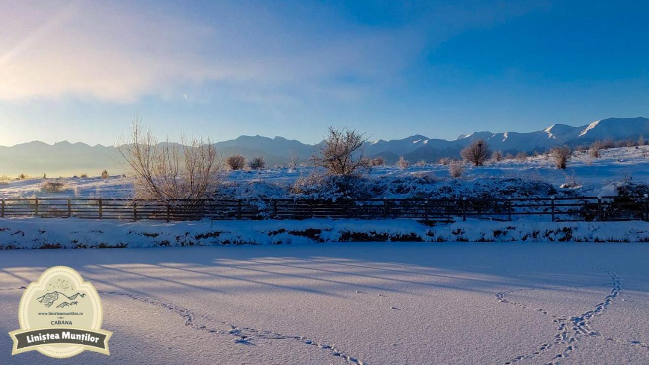 Linistea Muntilor Chalet Porumbacu de Sus Dış mekan fotoğraf