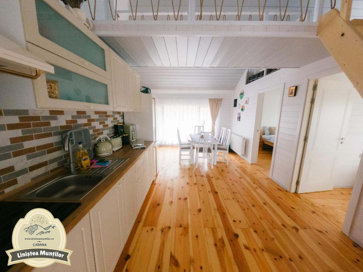 Linistea Muntilor Chalet Porumbacu de Sus Dış mekan fotoğraf
