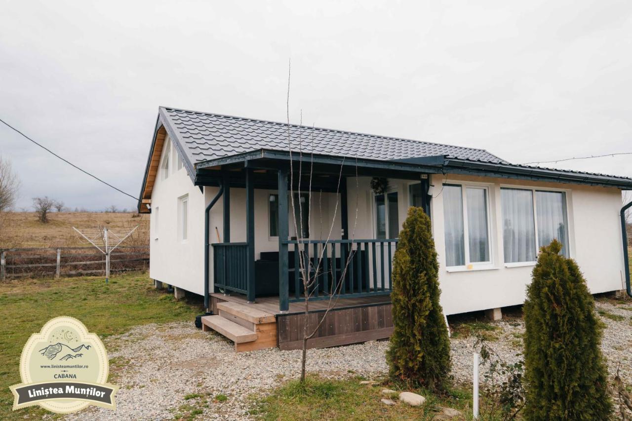 Linistea Muntilor Chalet Porumbacu de Sus Dış mekan fotoğraf