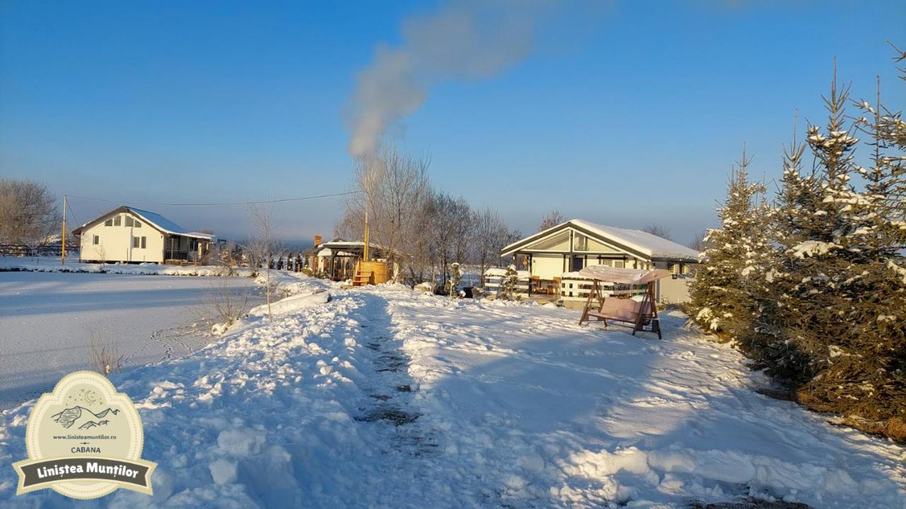 Linistea Muntilor Chalet Porumbacu de Sus Dış mekan fotoğraf