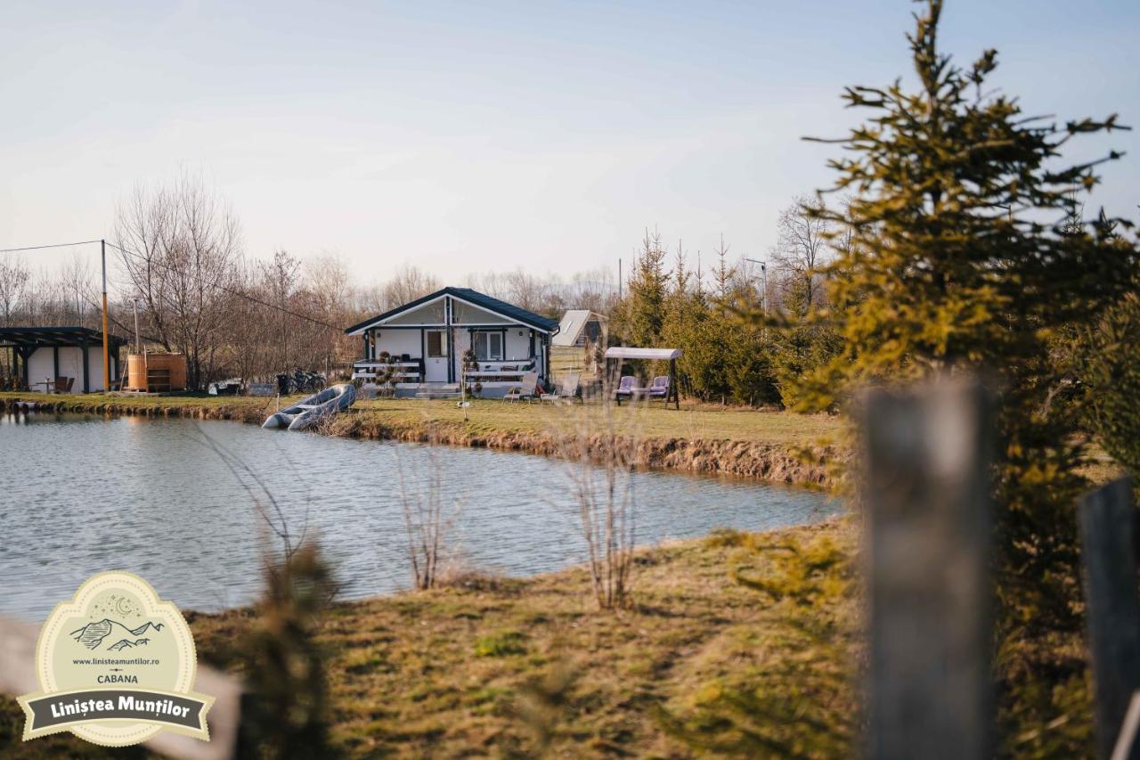 Linistea Muntilor Chalet Porumbacu de Sus Dış mekan fotoğraf