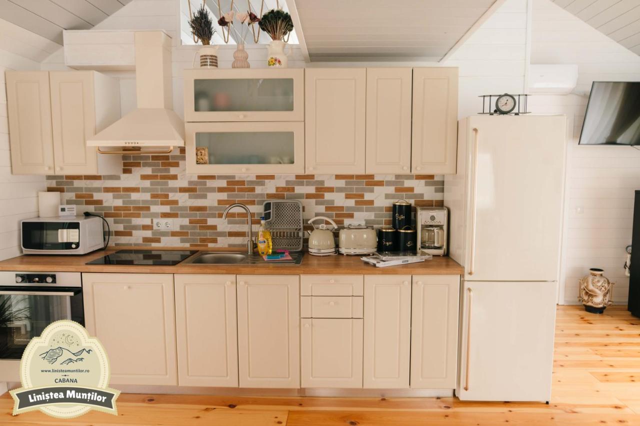 Linistea Muntilor Chalet Porumbacu de Sus Dış mekan fotoğraf