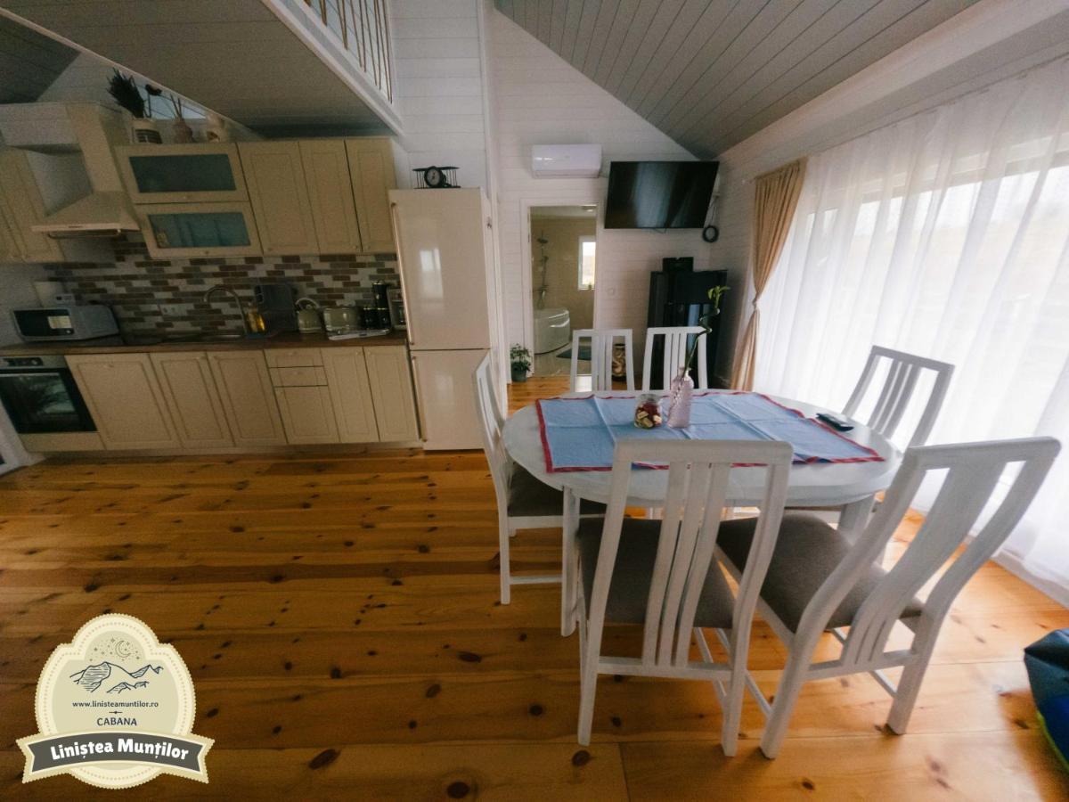 Linistea Muntilor Chalet Porumbacu de Sus Dış mekan fotoğraf