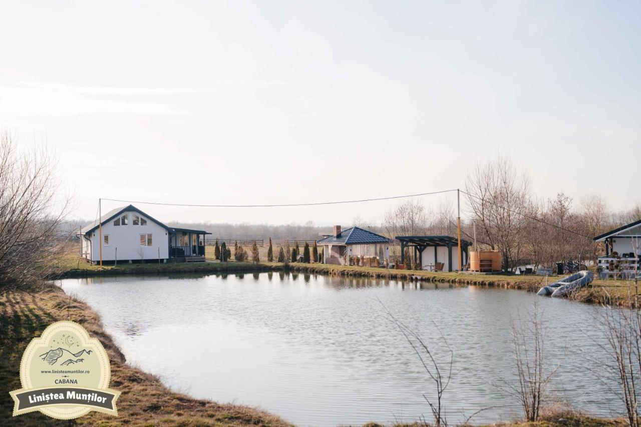 Linistea Muntilor Chalet Porumbacu de Sus Dış mekan fotoğraf