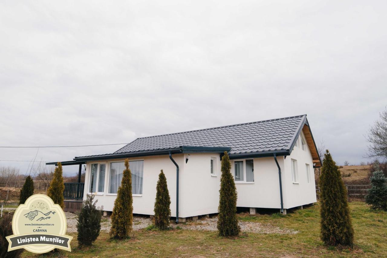 Linistea Muntilor Chalet Porumbacu de Sus Dış mekan fotoğraf