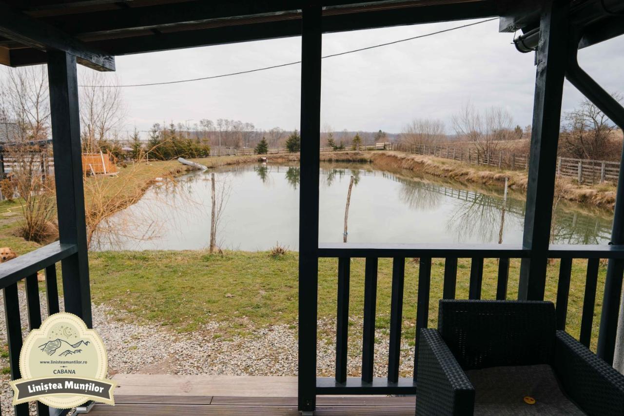 Linistea Muntilor Chalet Porumbacu de Sus Dış mekan fotoğraf