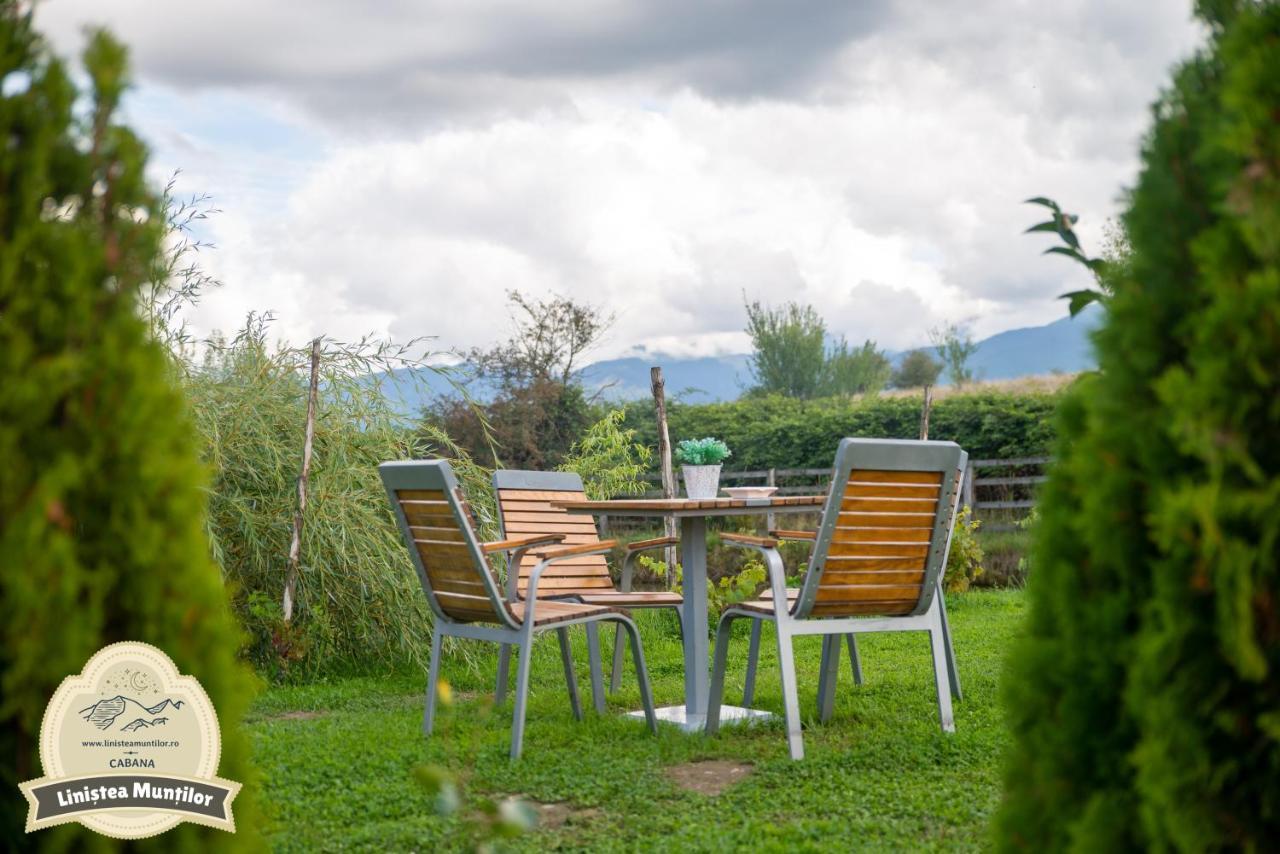 Linistea Muntilor Chalet Porumbacu de Sus Dış mekan fotoğraf