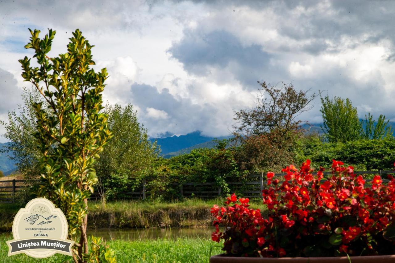 Linistea Muntilor Chalet Porumbacu de Sus Dış mekan fotoğraf