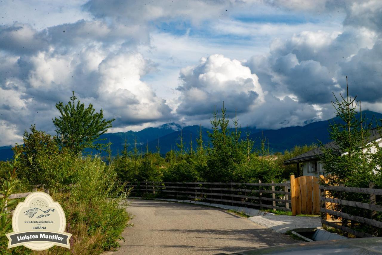 Linistea Muntilor Chalet Porumbacu de Sus Dış mekan fotoğraf