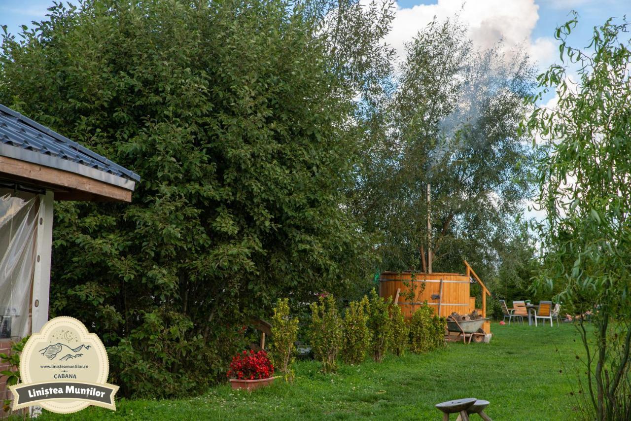 Linistea Muntilor Chalet Porumbacu de Sus Dış mekan fotoğraf