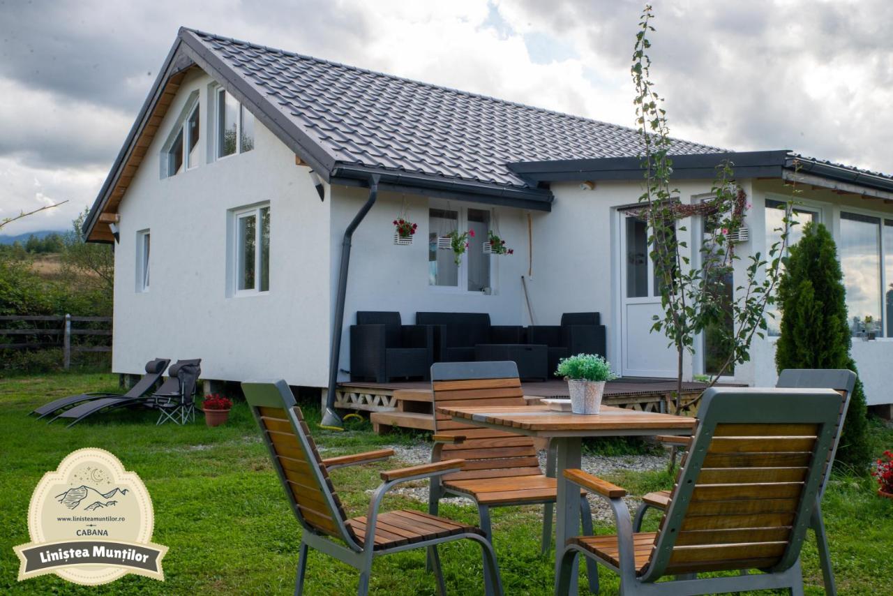 Linistea Muntilor Chalet Porumbacu de Sus Dış mekan fotoğraf