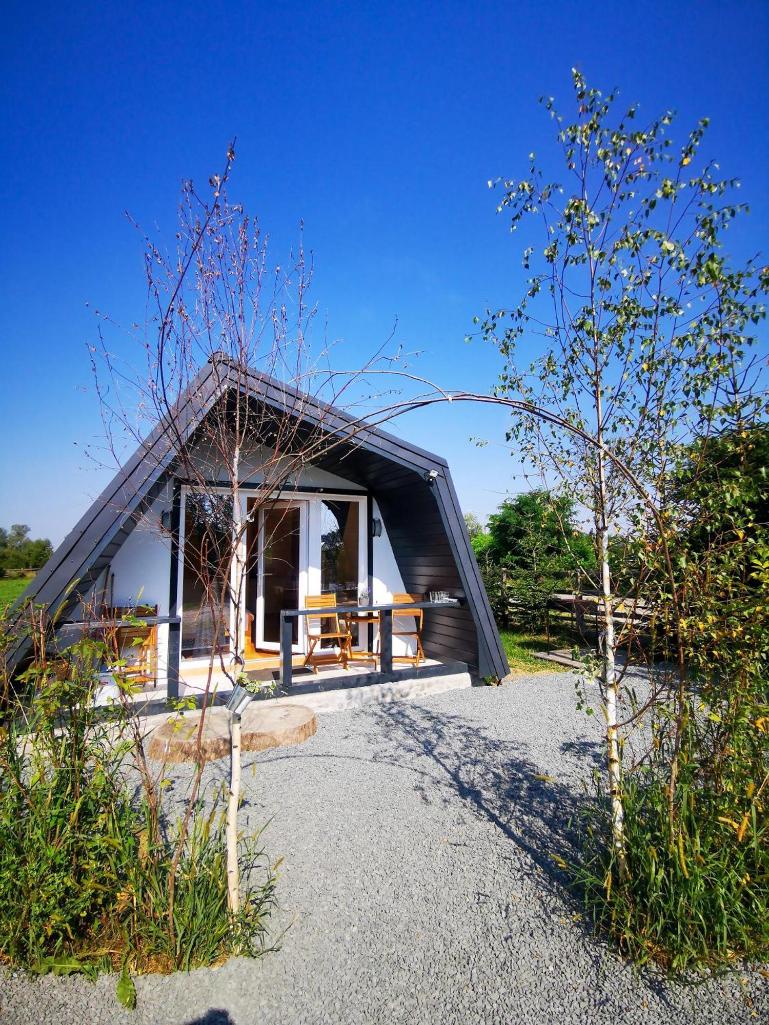 Linistea Muntilor Chalet Porumbacu de Sus Dış mekan fotoğraf